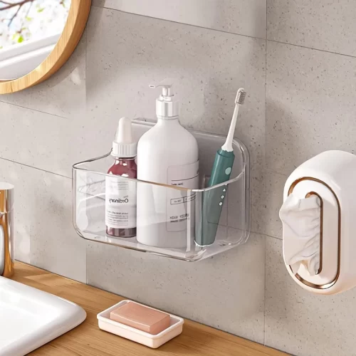 Diesisa Plastic Wall Mount Organizer